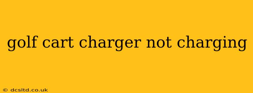 golf cart charger not charging