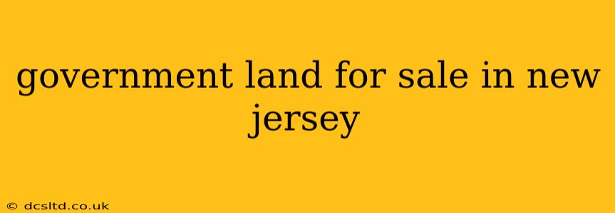 government land for sale in new jersey
