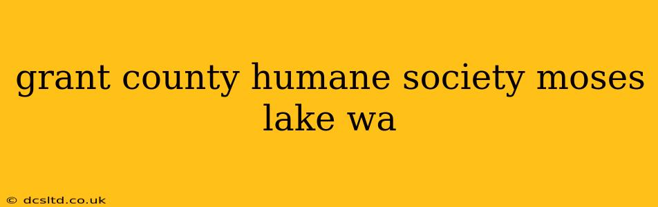 grant county humane society moses lake wa