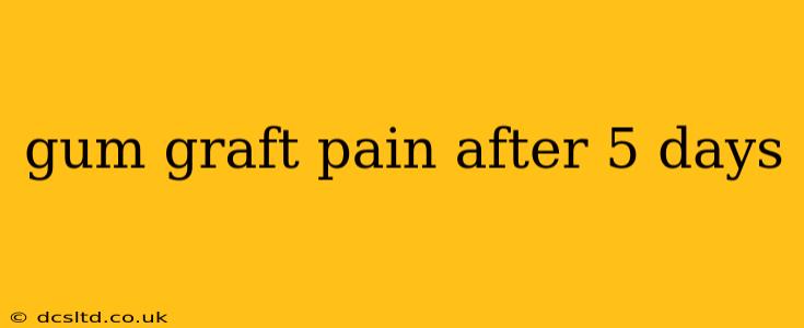 gum graft pain after 5 days