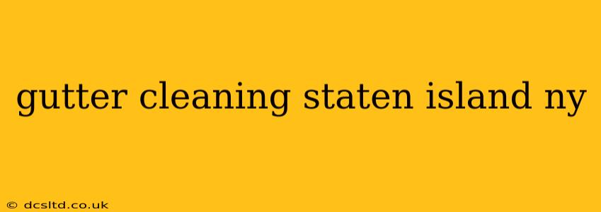 gutter cleaning staten island ny