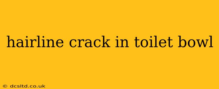 hairline crack in toilet bowl