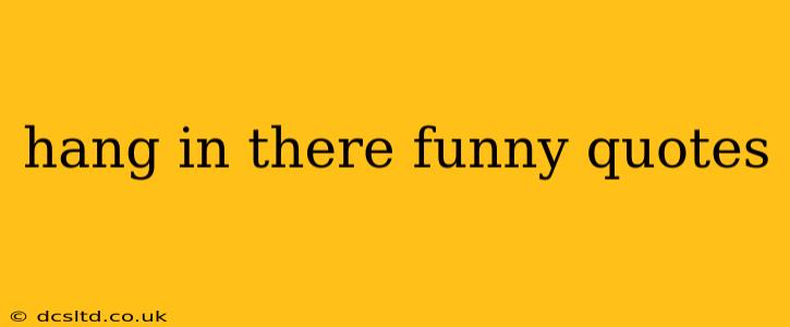 hang in there funny quotes