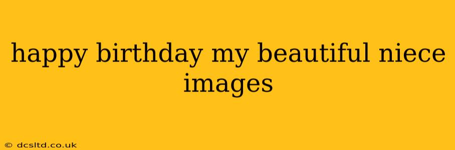 happy birthday my beautiful niece images