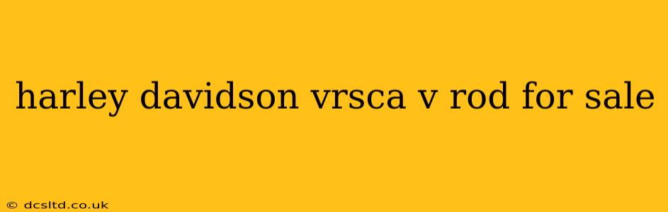 harley davidson vrsca v rod for sale