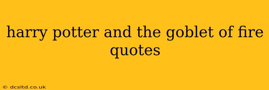 harry potter and the goblet of fire quotes