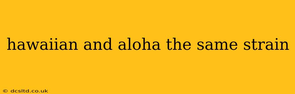 hawaiian and aloha the same strain