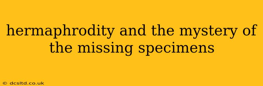 hermaphrodity and the mystery of the missing specimens