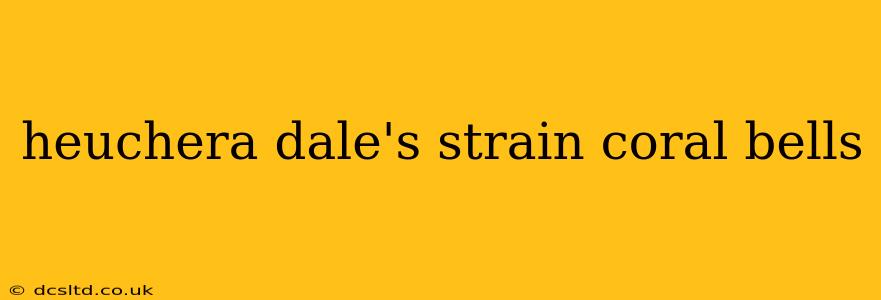 heuchera dale's strain coral bells