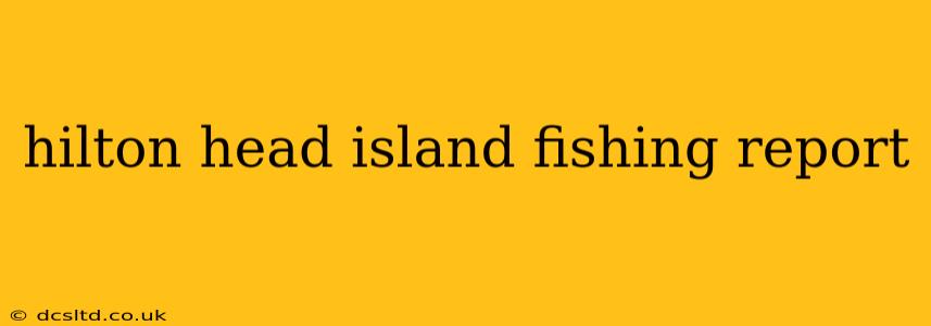 hilton head island fishing report