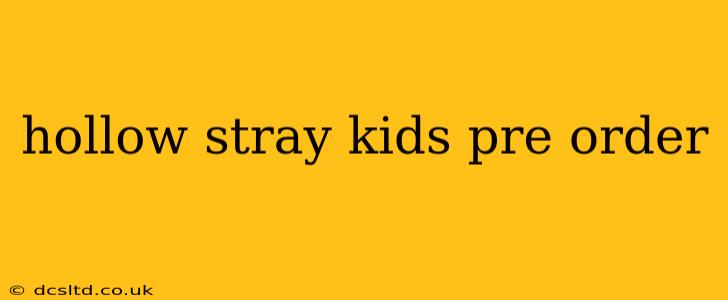 hollow stray kids pre order