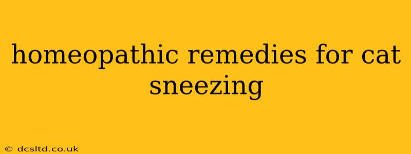 homeopathic remedies for cat sneezing