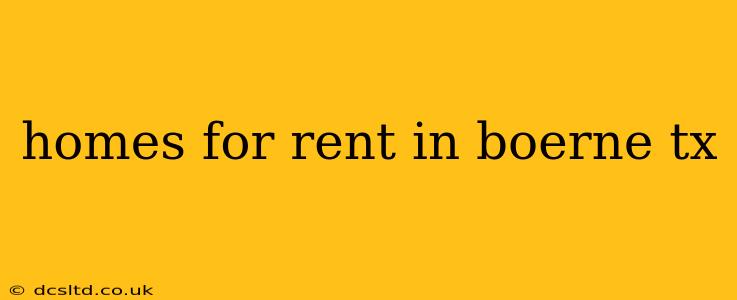 homes for rent in boerne tx