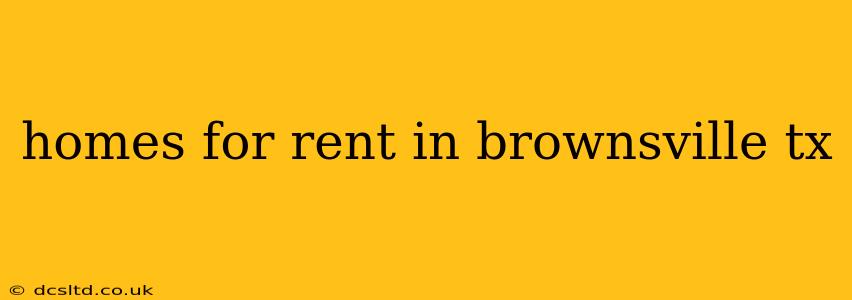 homes for rent in brownsville tx