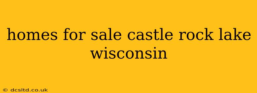 homes for sale castle rock lake wisconsin