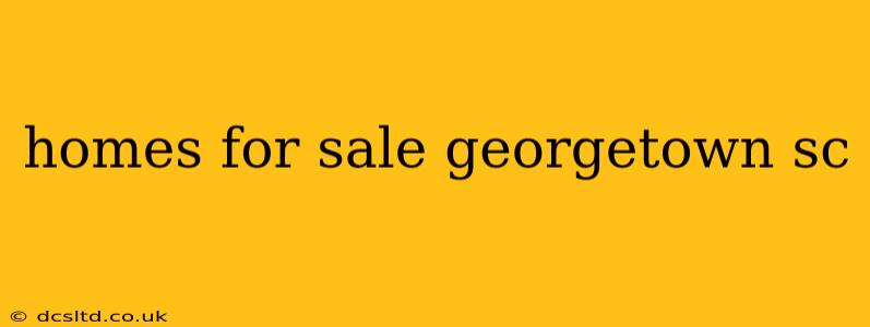 homes for sale georgetown sc