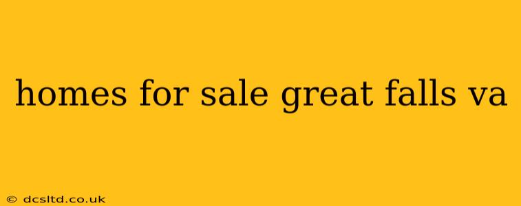 homes for sale great falls va