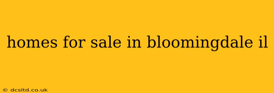 homes for sale in bloomingdale il