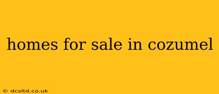 homes for sale in cozumel