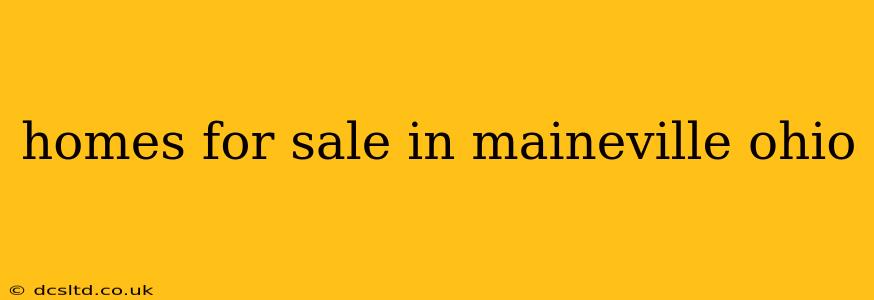 homes for sale in maineville ohio