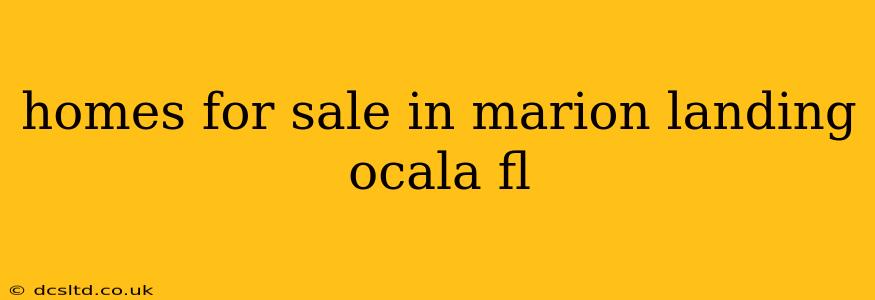 homes for sale in marion landing ocala fl