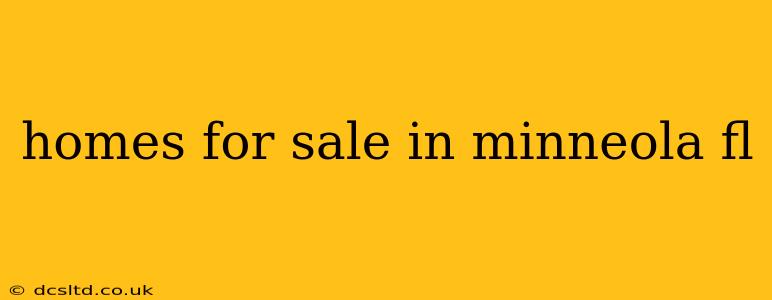 homes for sale in minneola fl