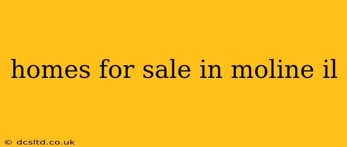 homes for sale in moline il