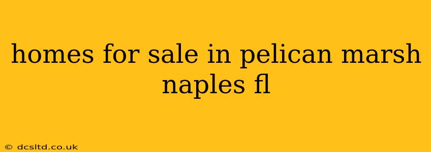 homes for sale in pelican marsh naples fl