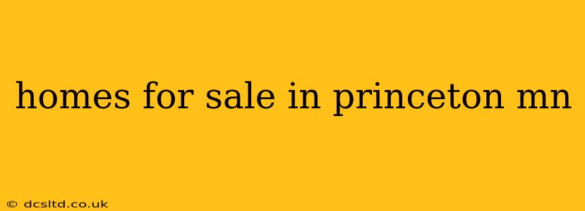 homes for sale in princeton mn