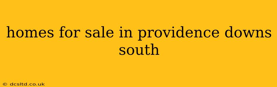 homes for sale in providence downs south