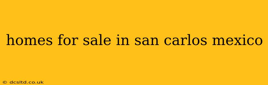 homes for sale in san carlos mexico