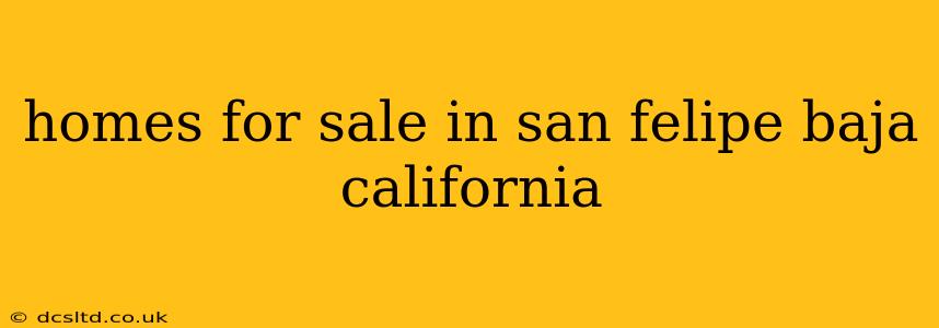 homes for sale in san felipe baja california
