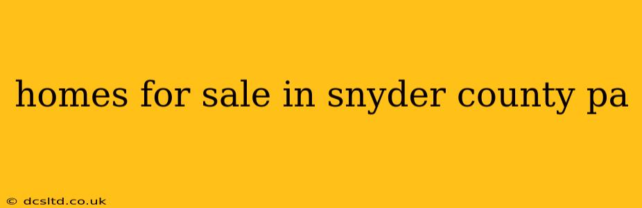 homes for sale in snyder county pa