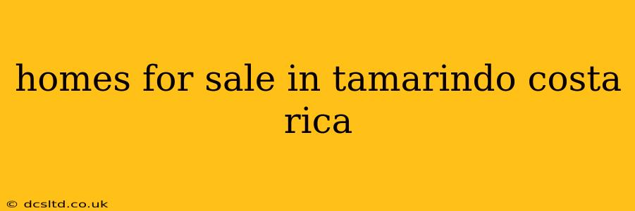 homes for sale in tamarindo costa rica