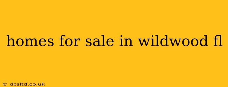 homes for sale in wildwood fl