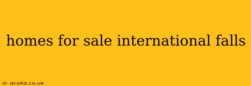 homes for sale international falls