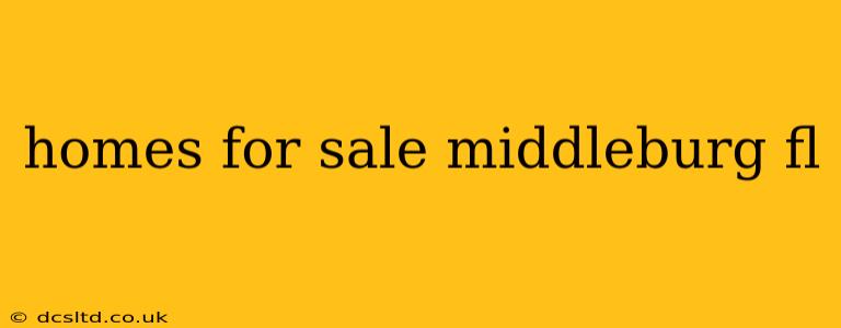 homes for sale middleburg fl
