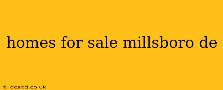 homes for sale millsboro de