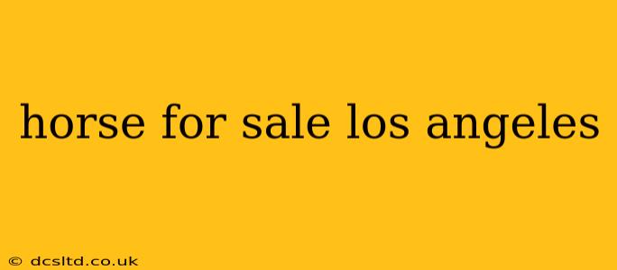 horse for sale los angeles