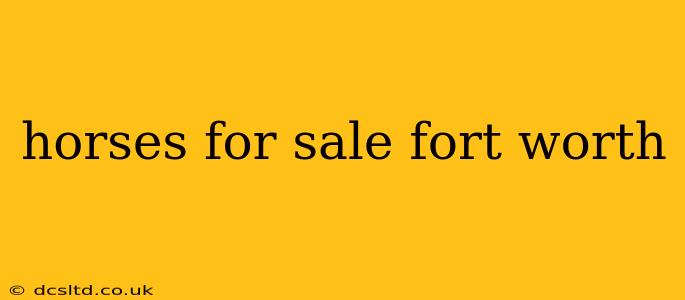 horses for sale fort worth