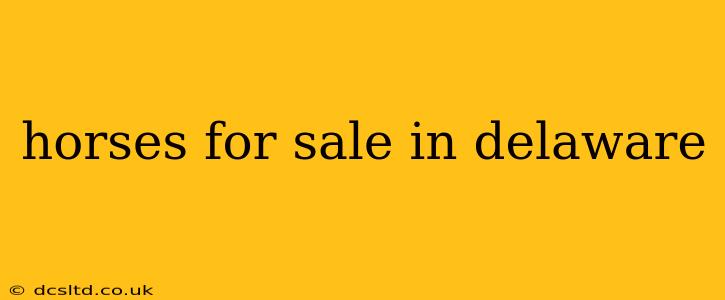 horses for sale in delaware