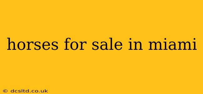 horses for sale in miami