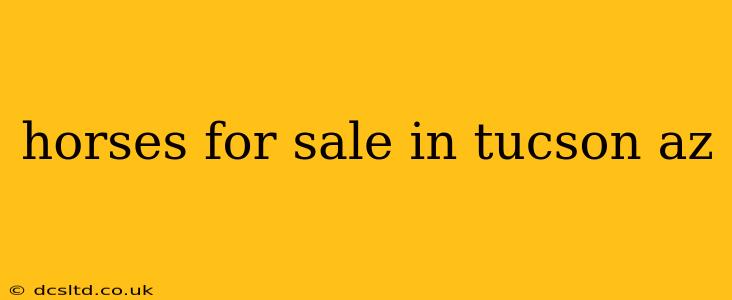 horses for sale in tucson az