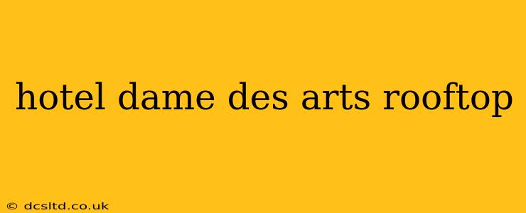 hotel dame des arts rooftop
