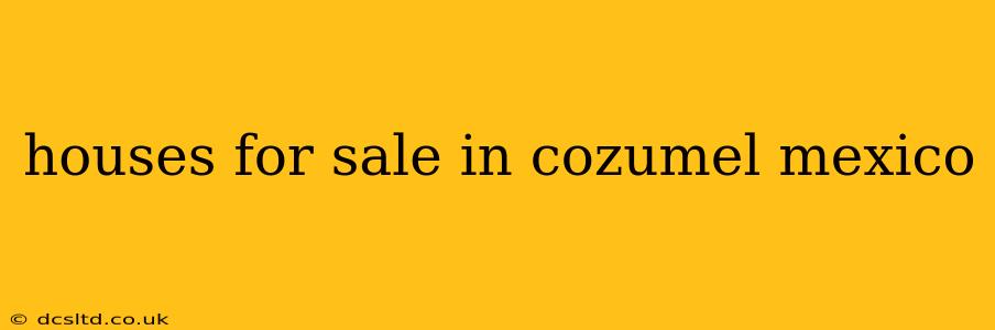 houses for sale in cozumel mexico