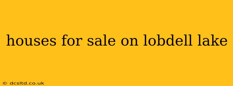 houses for sale on lobdell lake