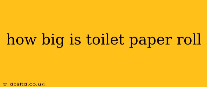 how big is toilet paper roll