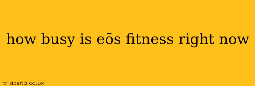 how busy is eōs fitness right now