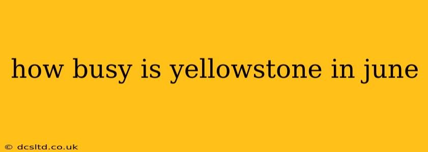 how busy is yellowstone in june