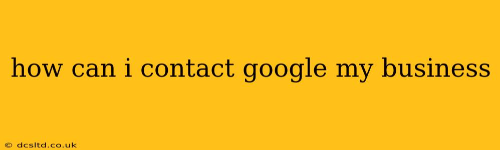 how can i contact google my business